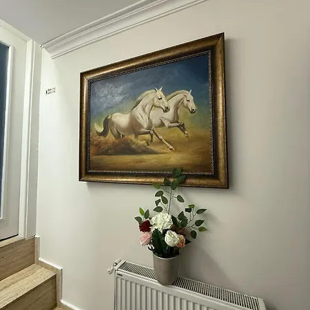 Gv Galata Istanboel
